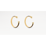 LV signature earrings