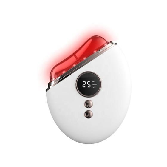 2024 Electric guasha neck and face lifting massager facial beauty device with light therapy Skin Care for home personal care